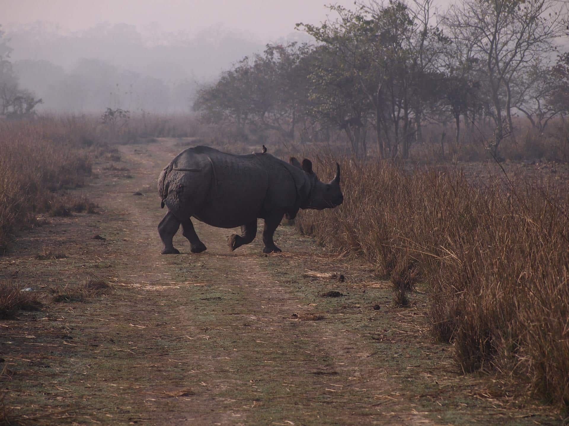 The UNESCO World Heritage Sites Of India: East