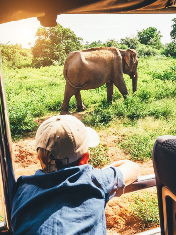 Wild And Wonderful Sri Lanka